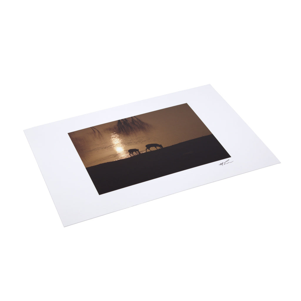 Giant Postcard