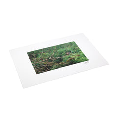 Giant Postcard