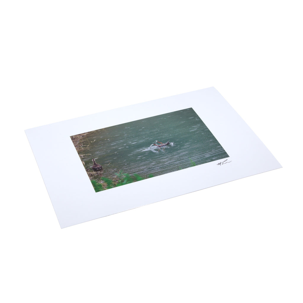 Giant Postcard