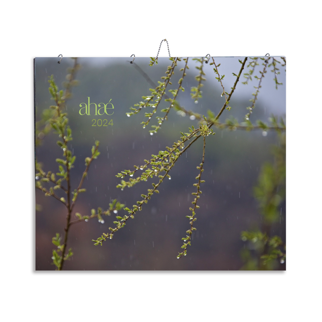 2025 Wall Calendar Ahae