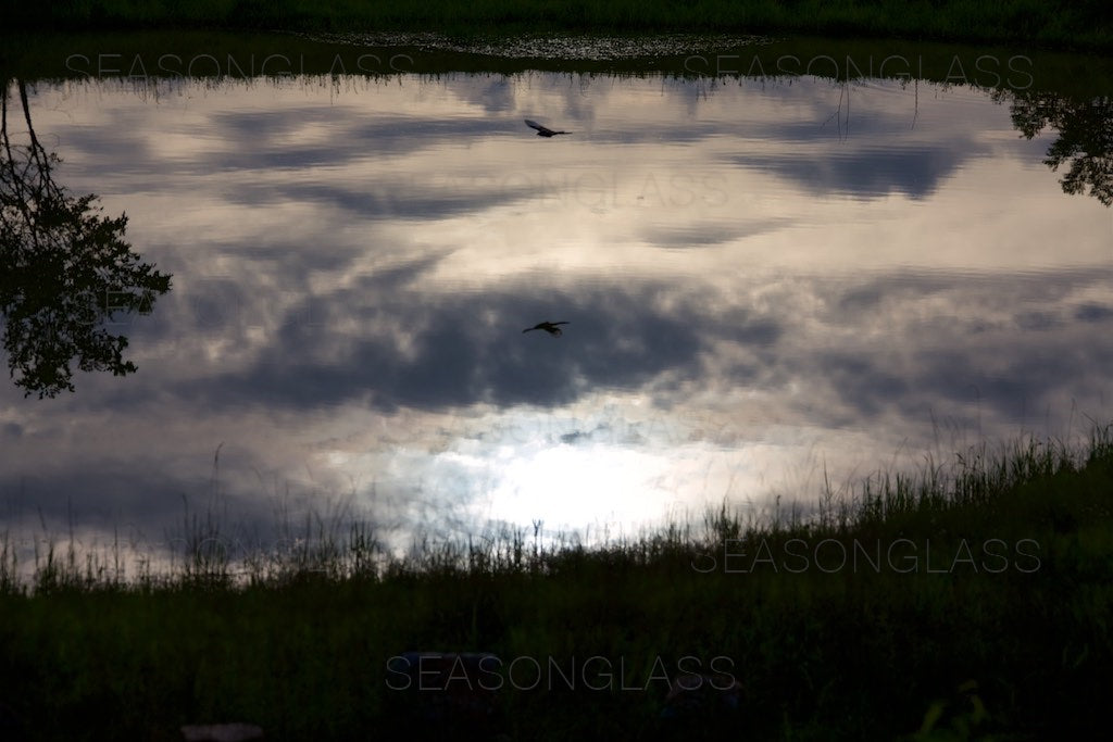 Reflection