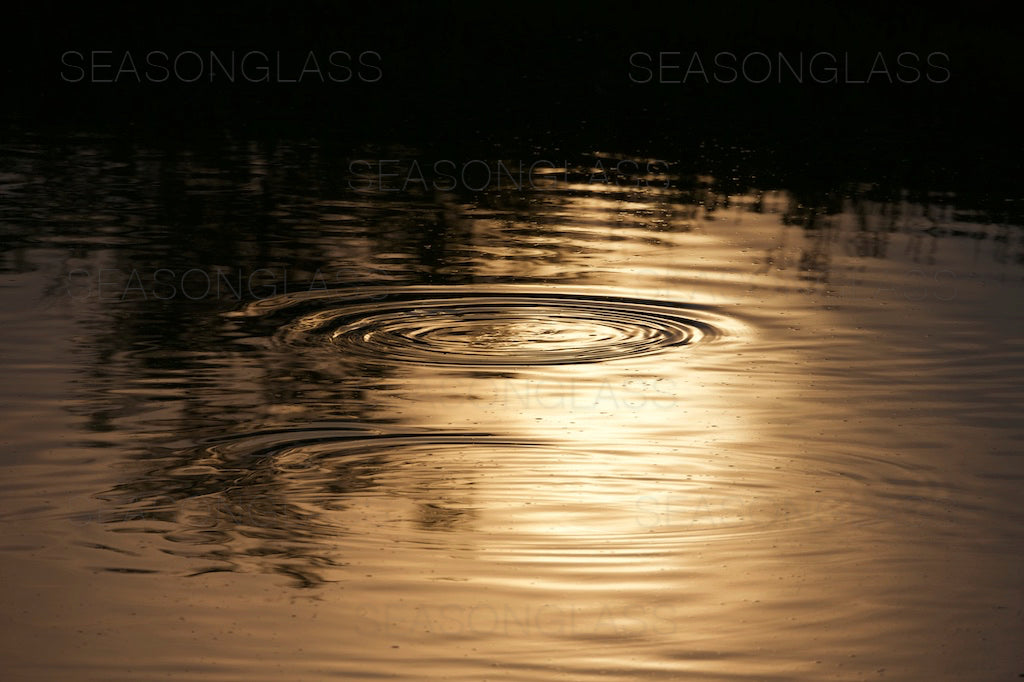 Reflection