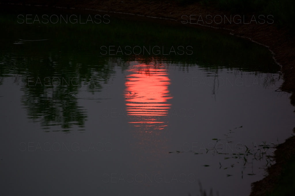 Reflection