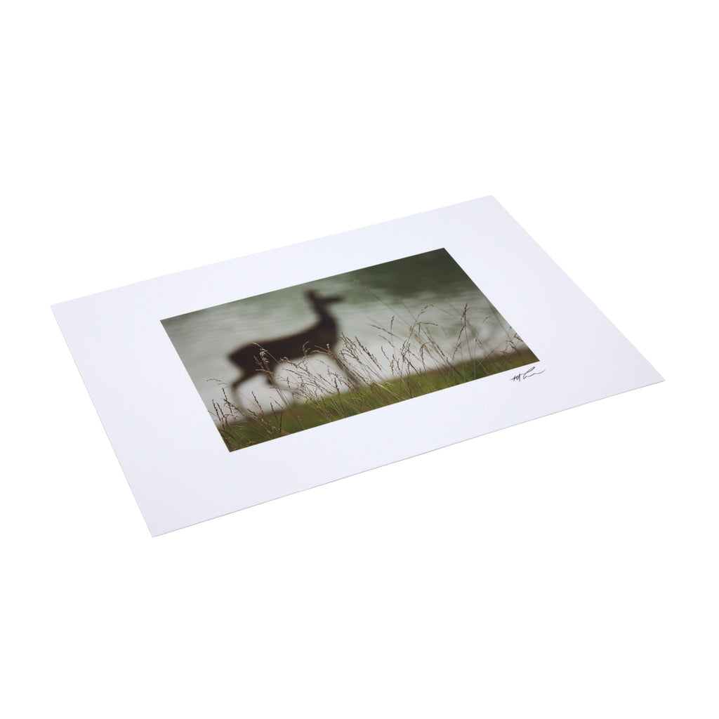 Giant Postcard