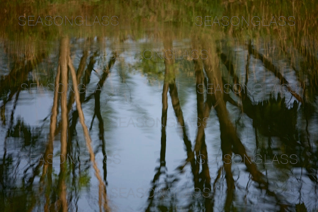 Reflection