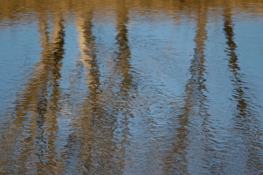 Reflection