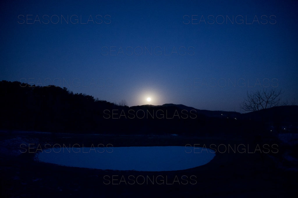 Through My Window