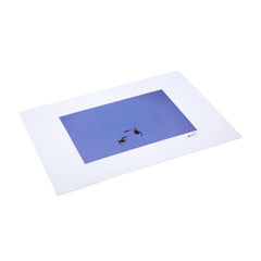 Giant Postcard