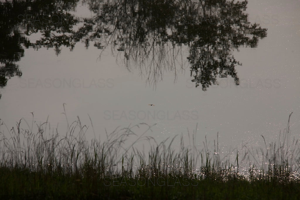 Reflection
