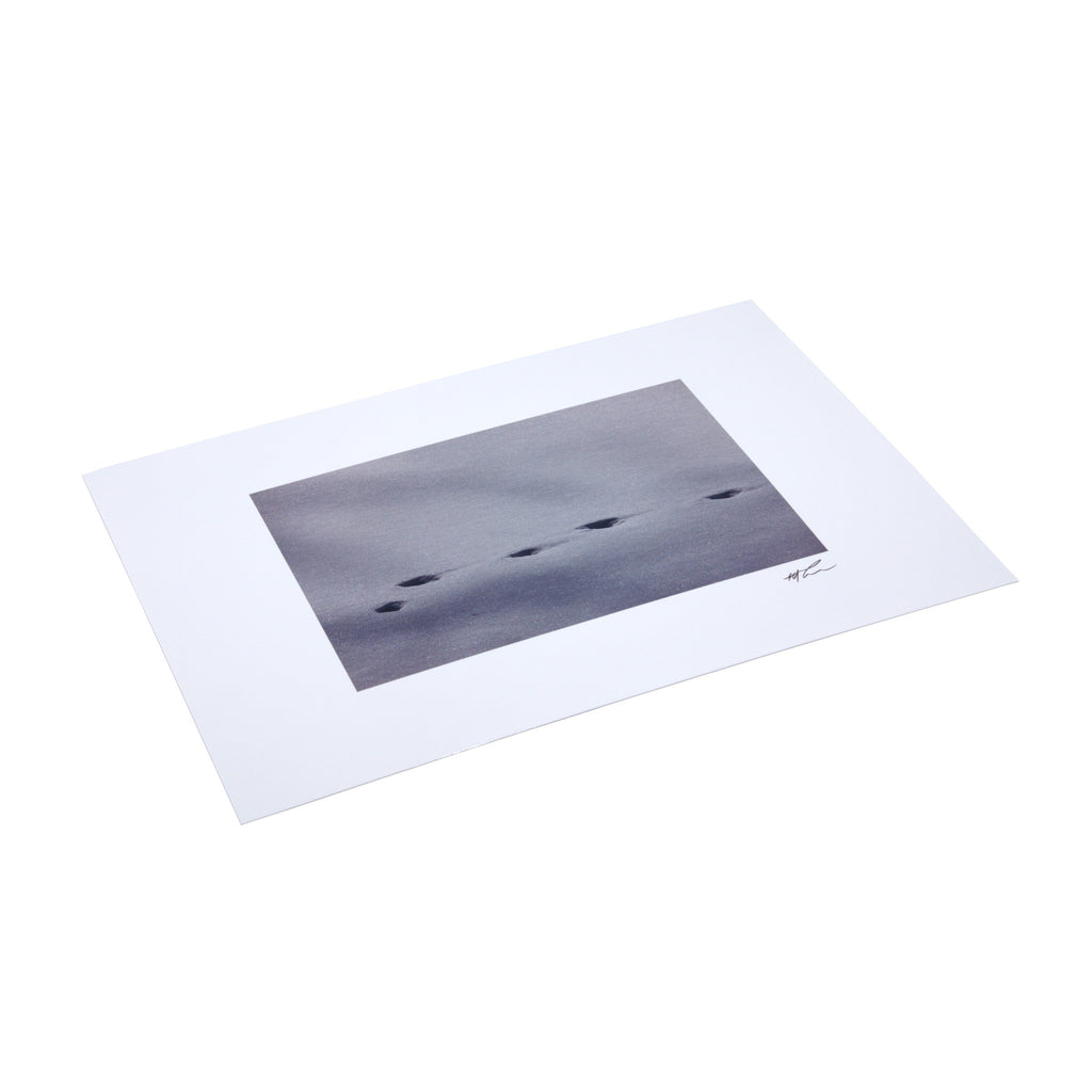 Giant Postcard