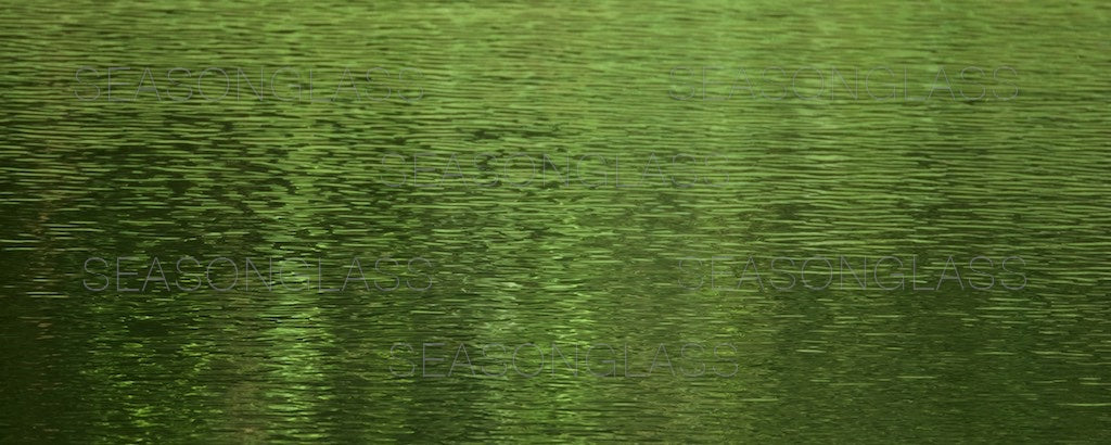 Waves on Pond