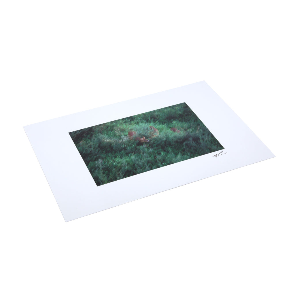 Giant Postcard