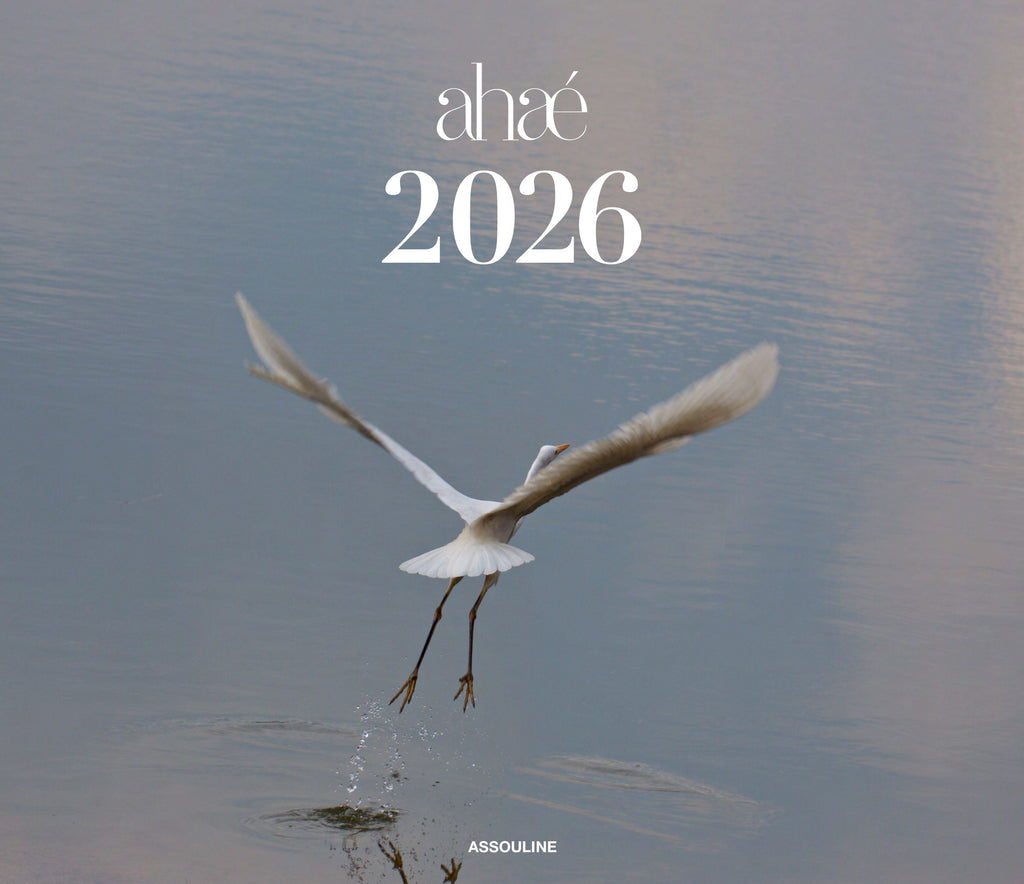 2026 Wall Calendar – Pre-Sale