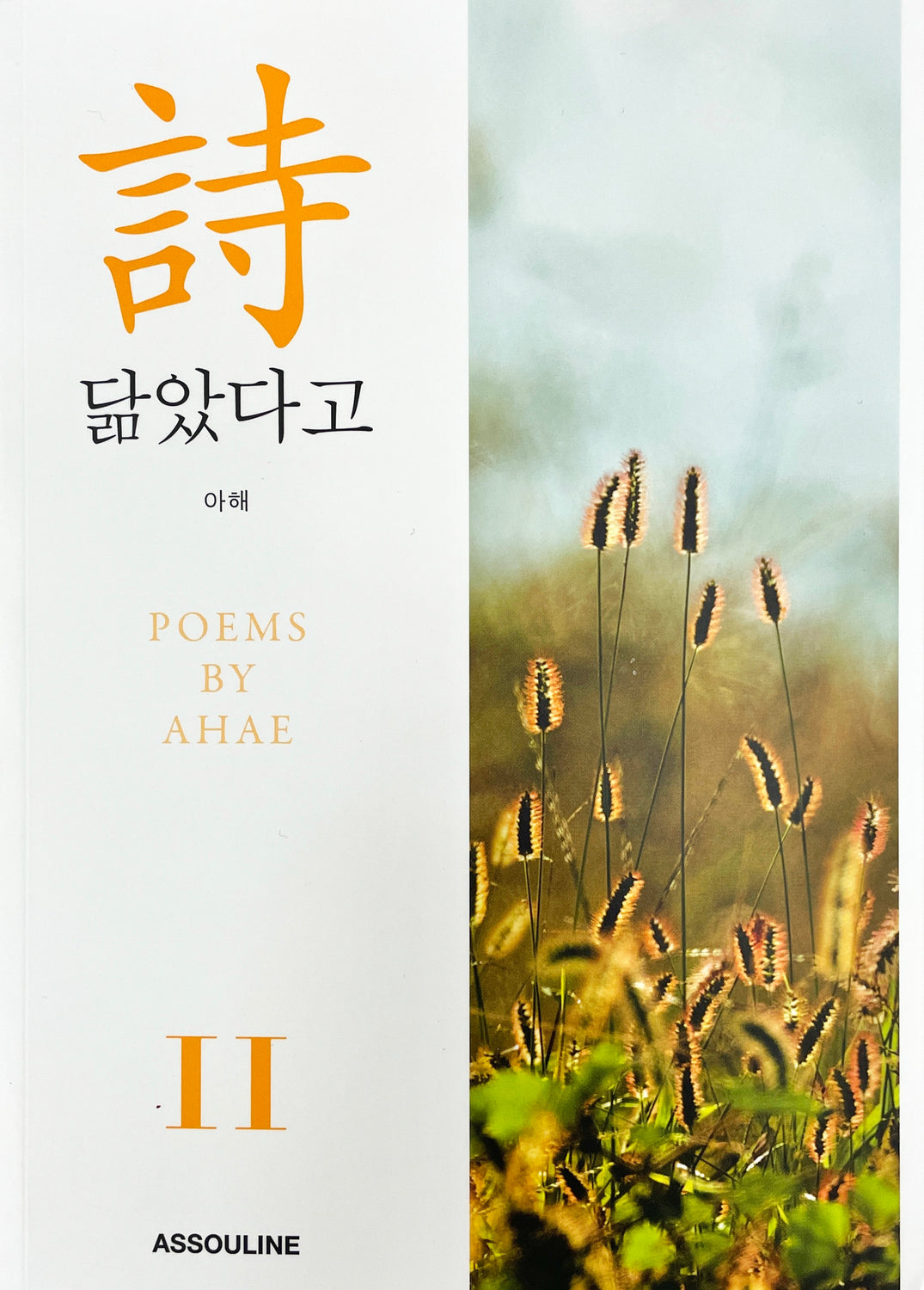 Poems by Ahae Vol. 11 - Assouline