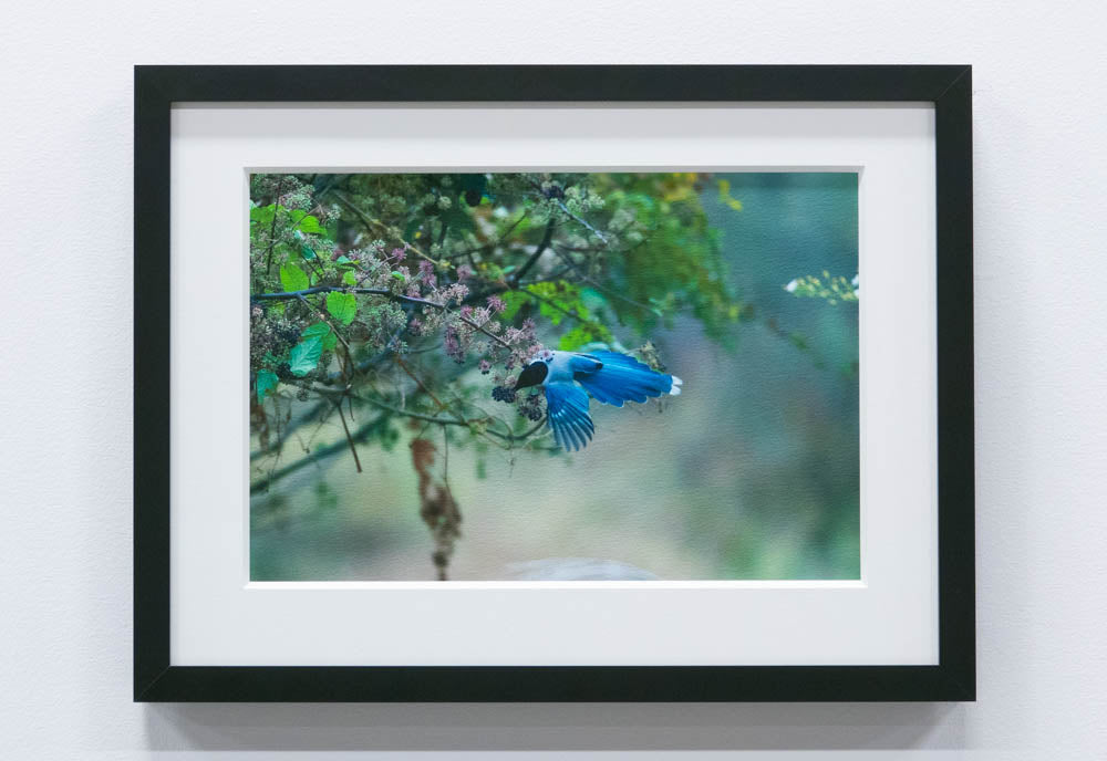 10X Gift Print