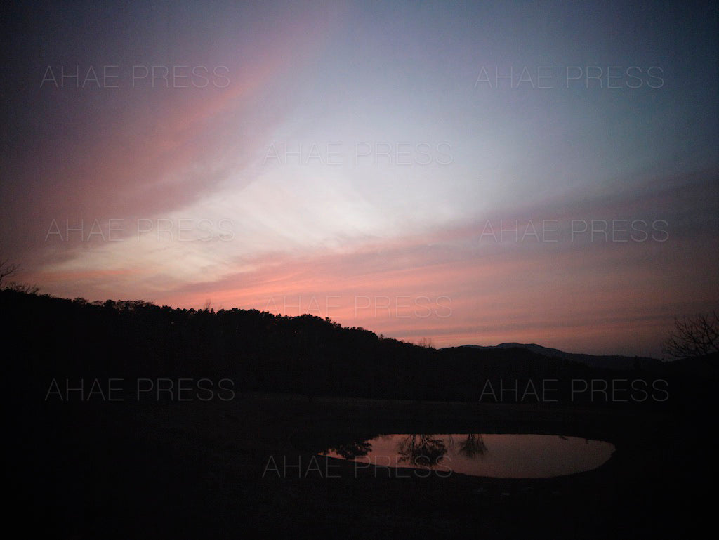 Through My Window