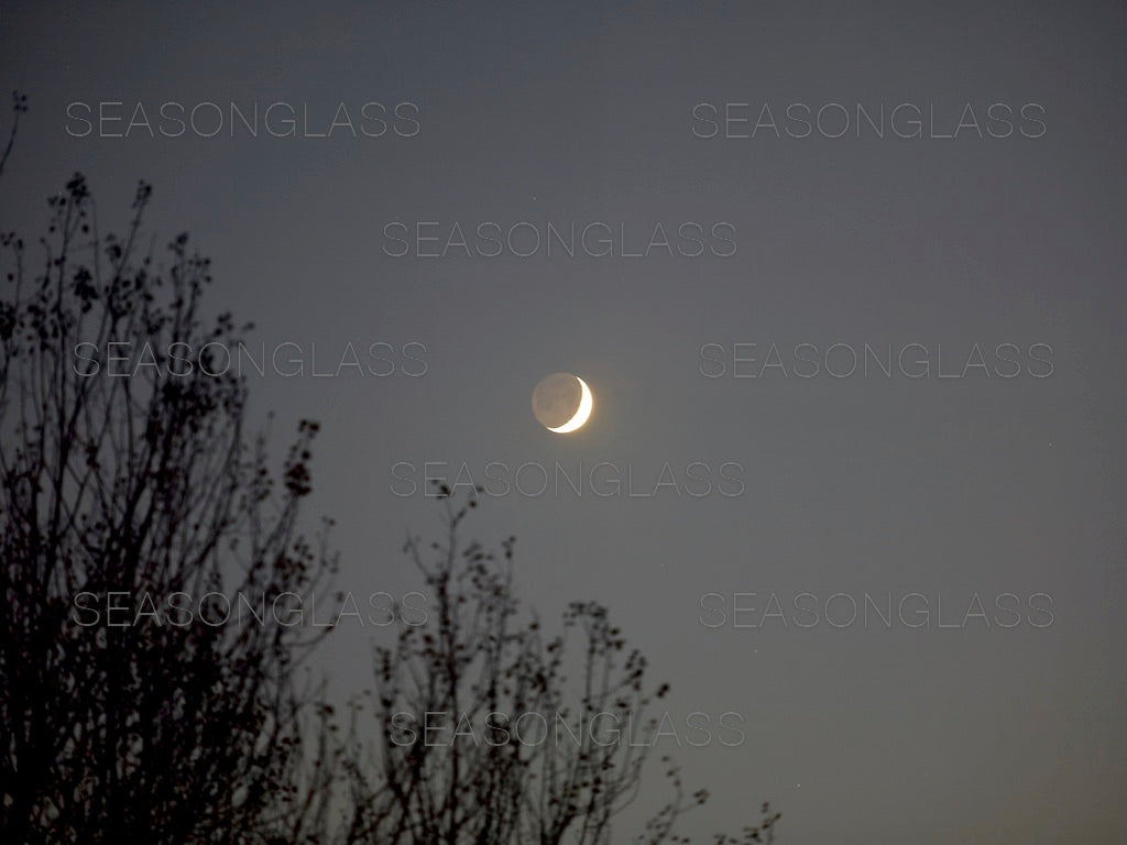 Crescent Moon