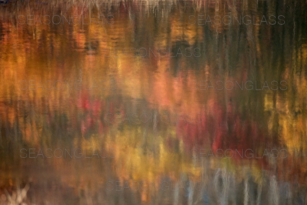 Reflection