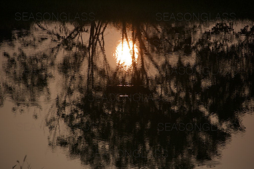 Reflection