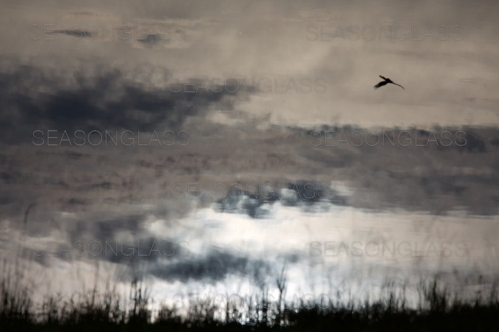 Reflection