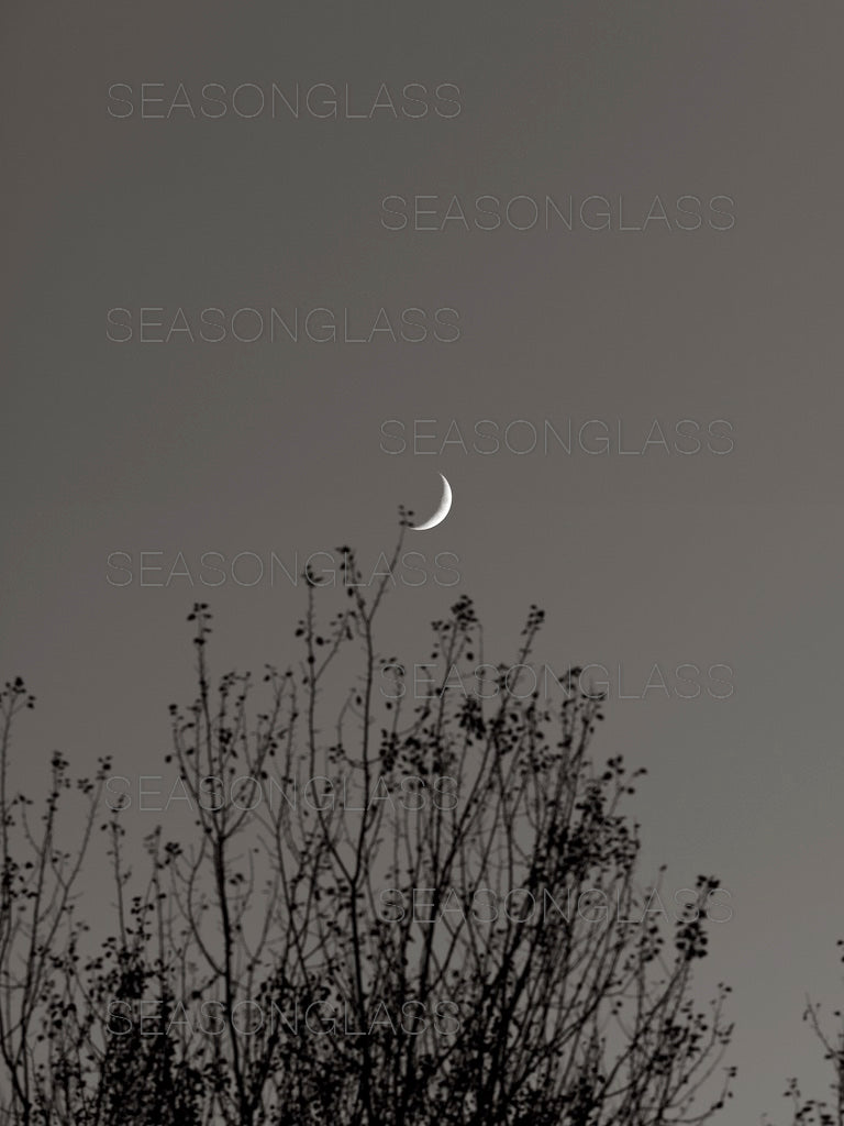 Crescent Moon
