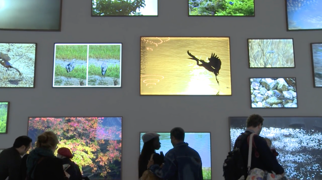 <iframe src="https://player.vimeo.com/video/258194501" width="640" height="360" frameborder="0" webkitallowfullscreen mozallowfullscreen allowfullscreen></iframe>