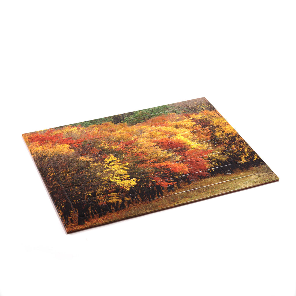 Puzzle (36 pcs)