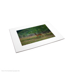 Matte Frame Print