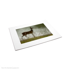 Matte Frame Print