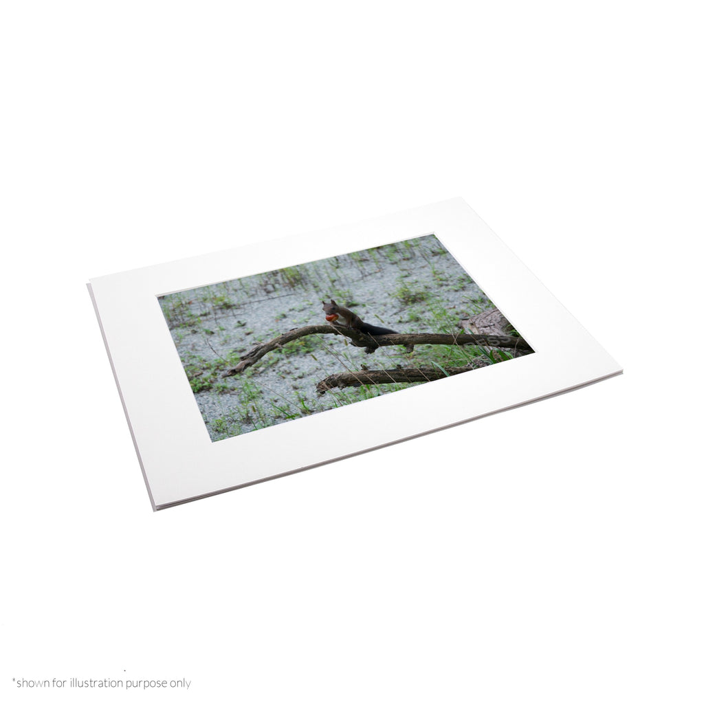 Matte Frame Print