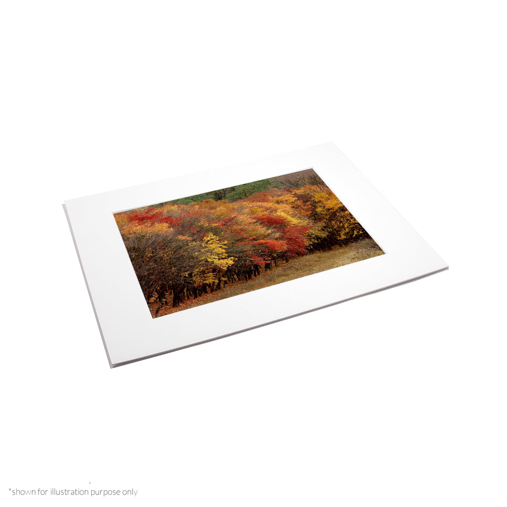 Matte Frame Print