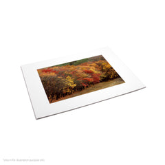 Matte Frame Print