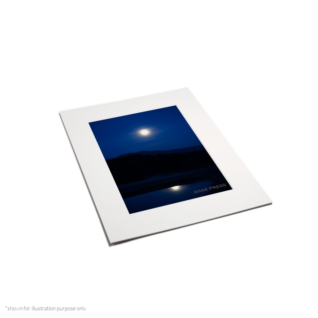 Matte Frame Print