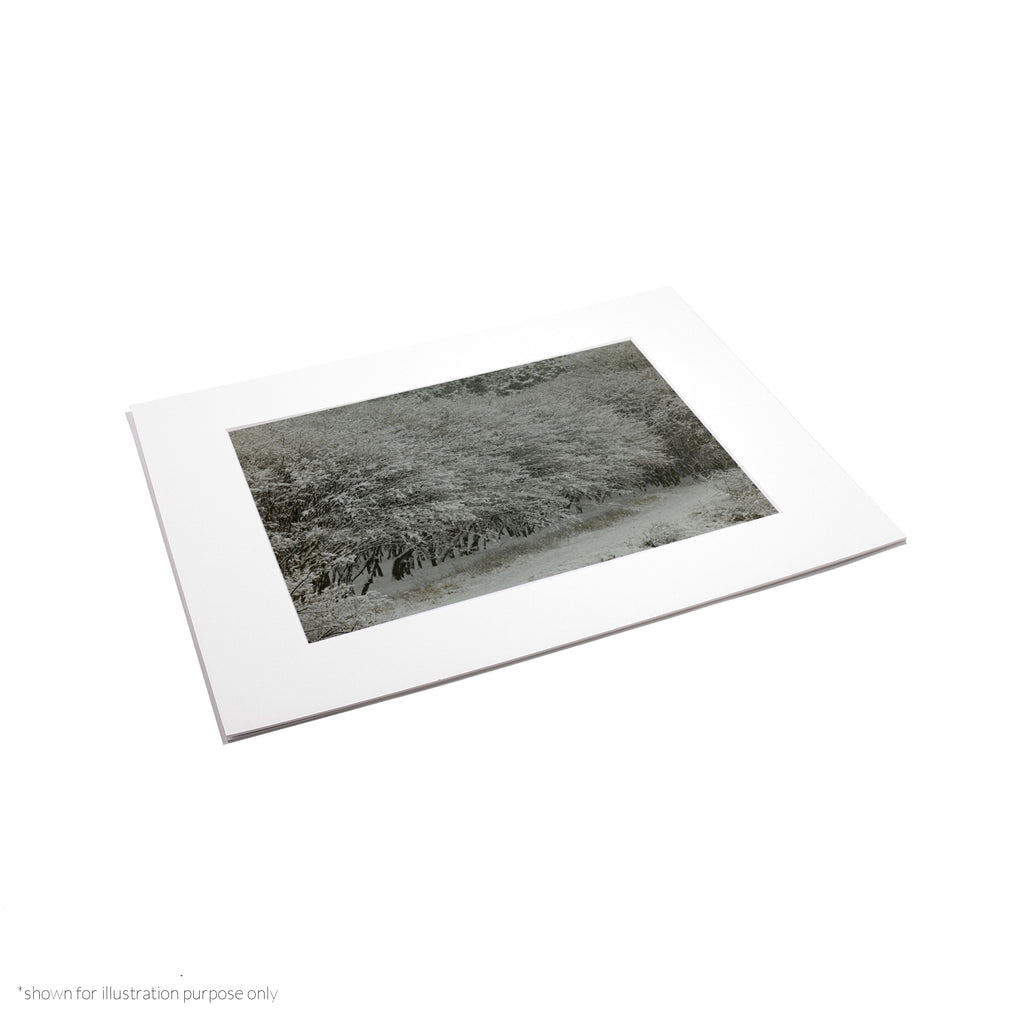 Matte Frame Print