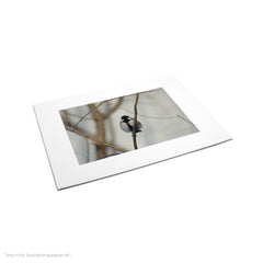 Matte Frame Print