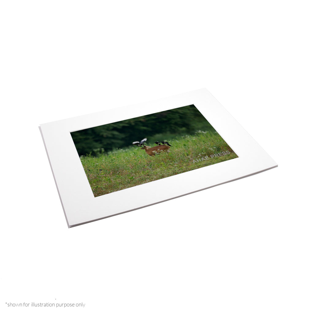 Matte Frame Print