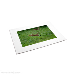 Matte Frame Print
