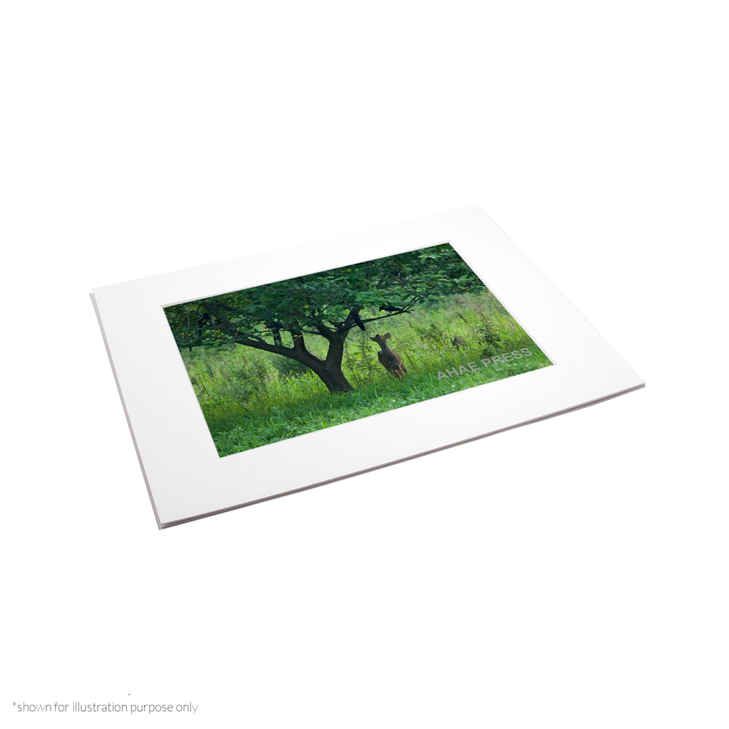 Matte Frame Print