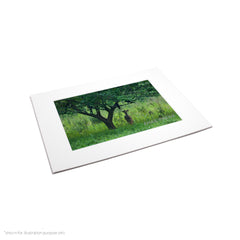 Matte Frame Print