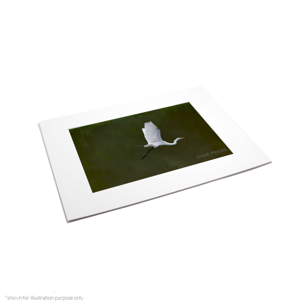 Matte Frame Print