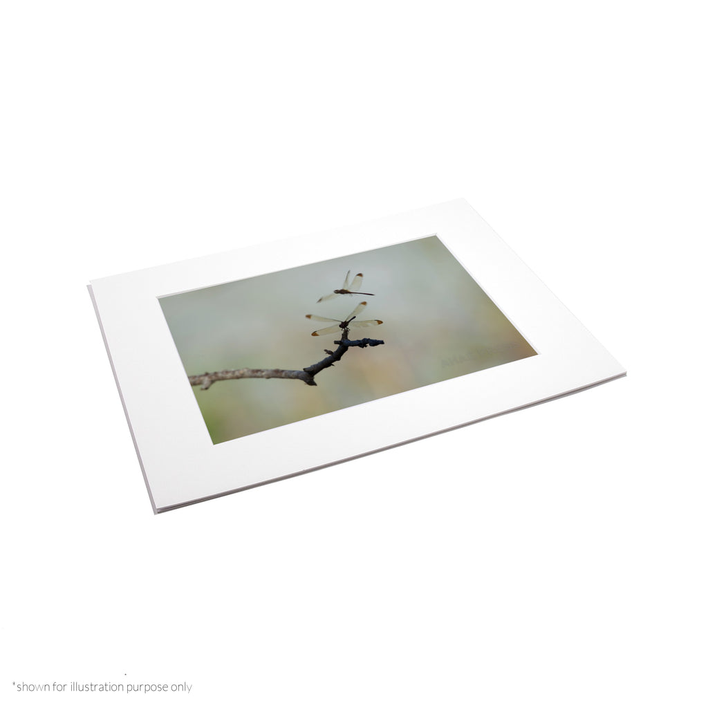 Matte Frame Print