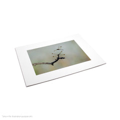 Matte Frame Print