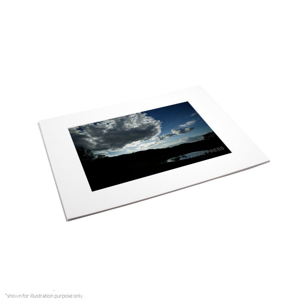 Matte Frame Print