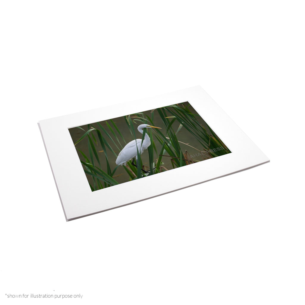 Matte Frame Print