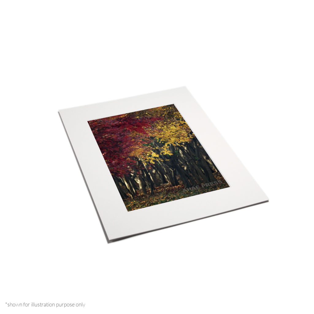 Matte Frame Print