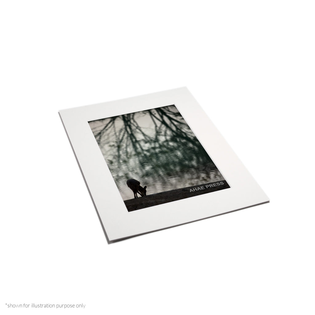 Matte Frame Print