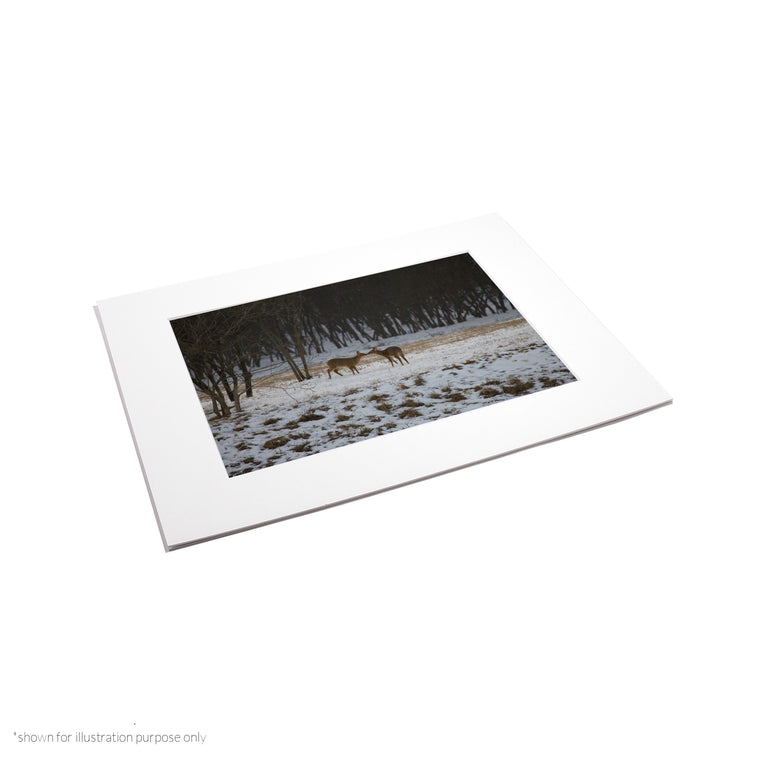 Matte Frame Print