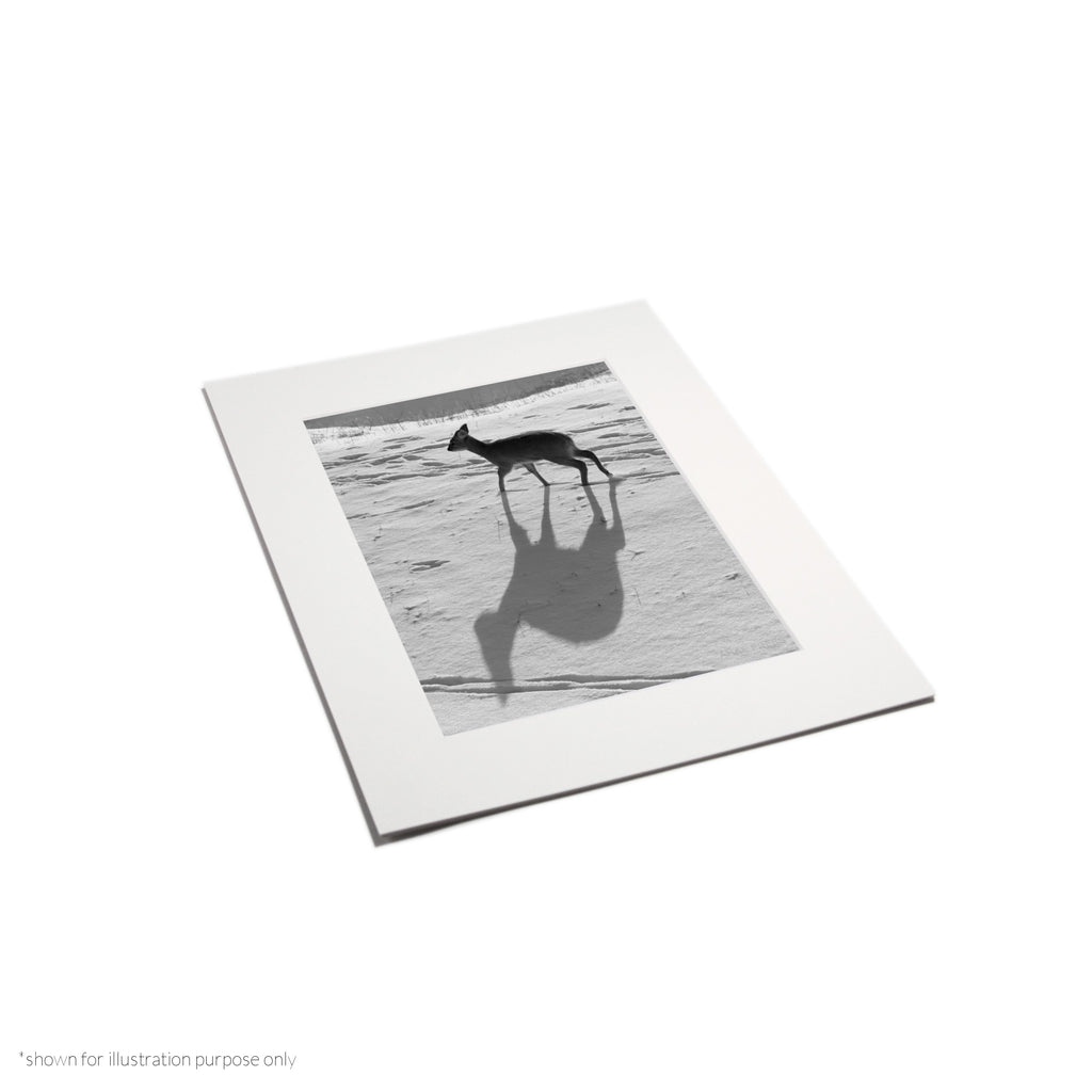 Matte Frame Print
