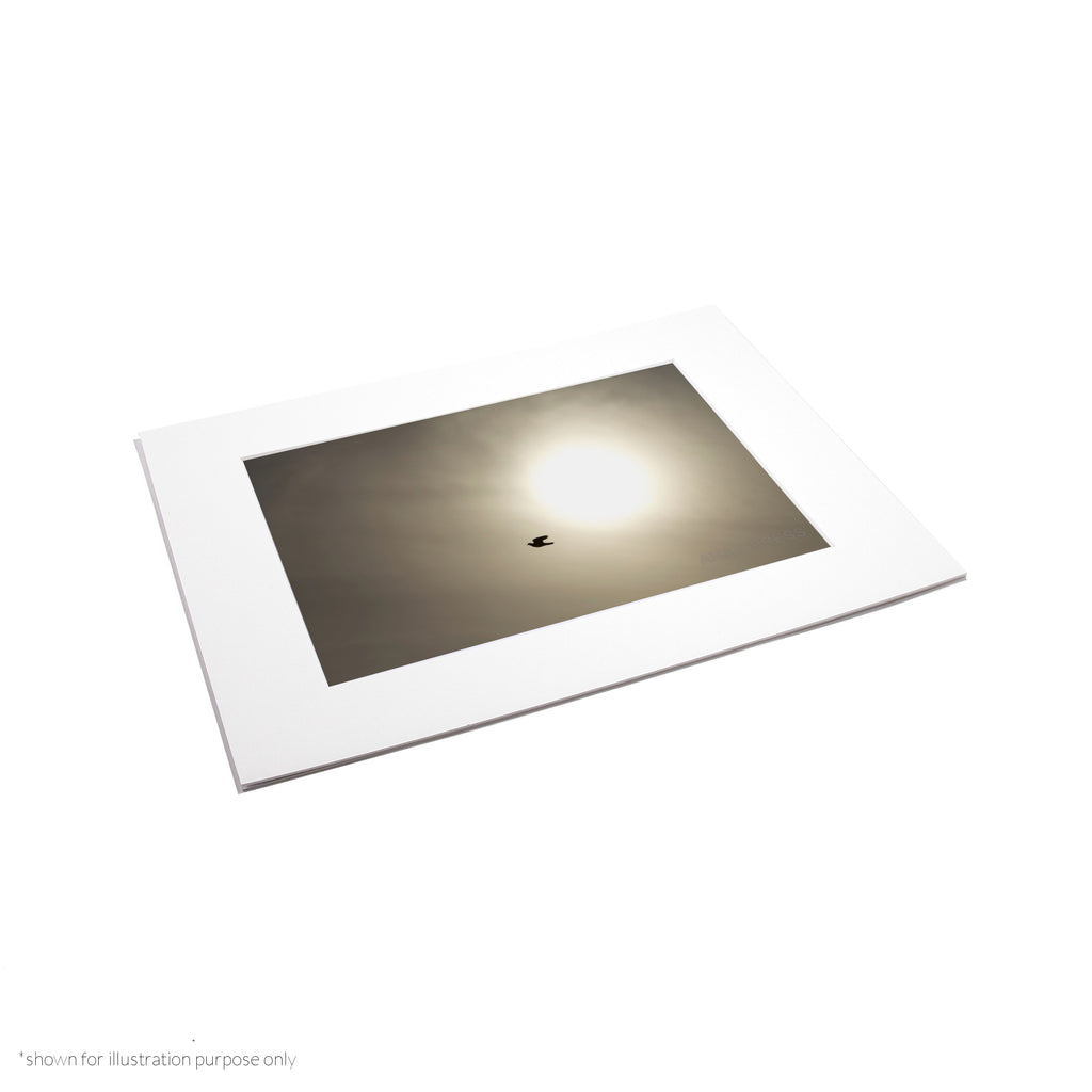 Matte Frame Print
