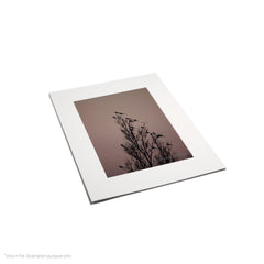 Matte Frame Print